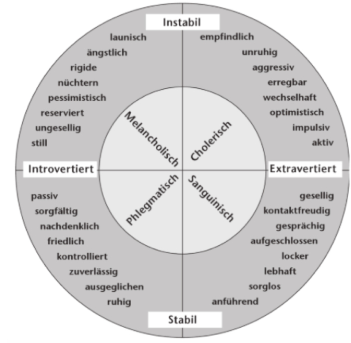 Anwendung Des Disg Modells Im Coachingprozess Inkonstellation